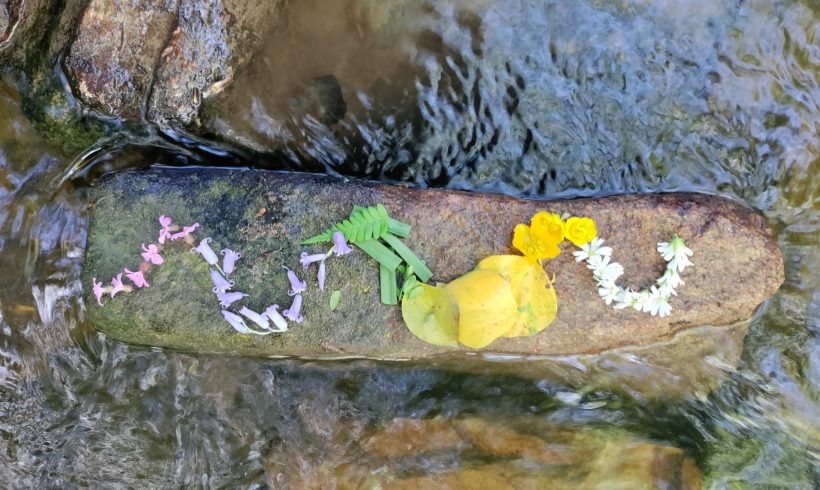 Atelier Land art collège