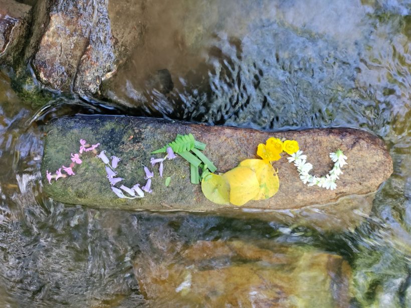 Atelier Land art collège
