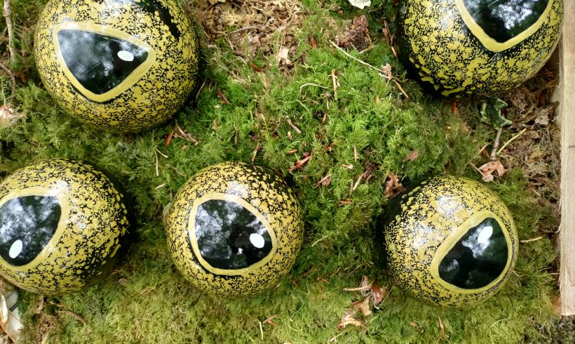 Installation Land art