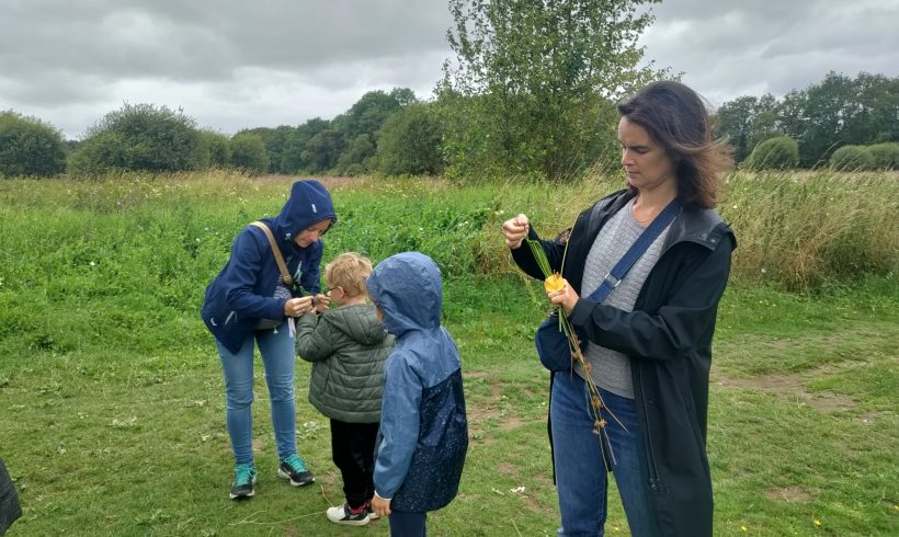 Morbihan Grandeur Nature