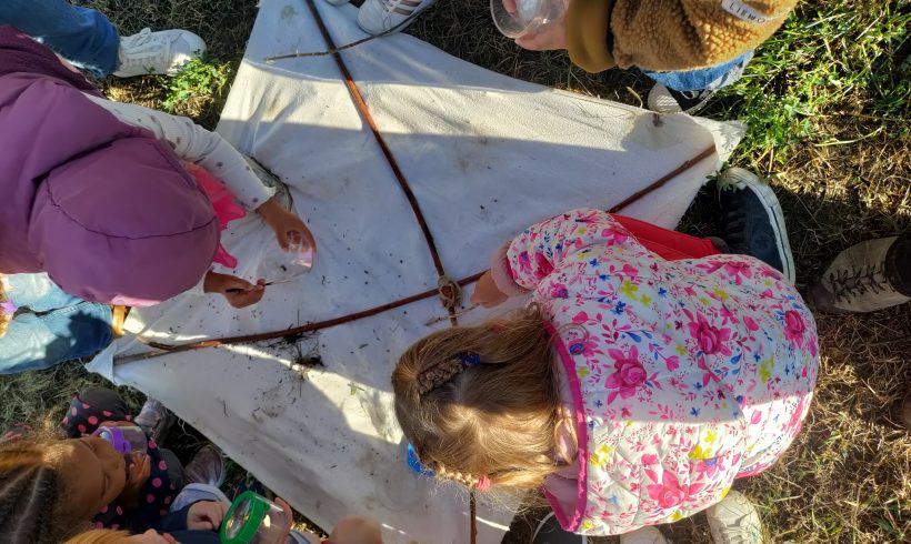 Atlas de la Biodiversité Saint Pierre Quiberon
