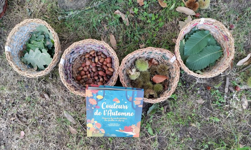 Éveil à la nature Automne