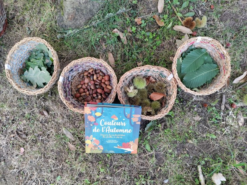 Éveil à la nature Automne