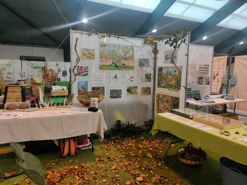 Forum Terre&rsquo;andro