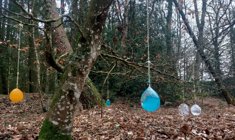 Éveil à la nature: Hivers