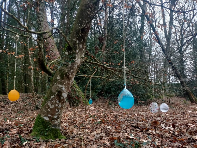 Éveil à la nature: Hivers