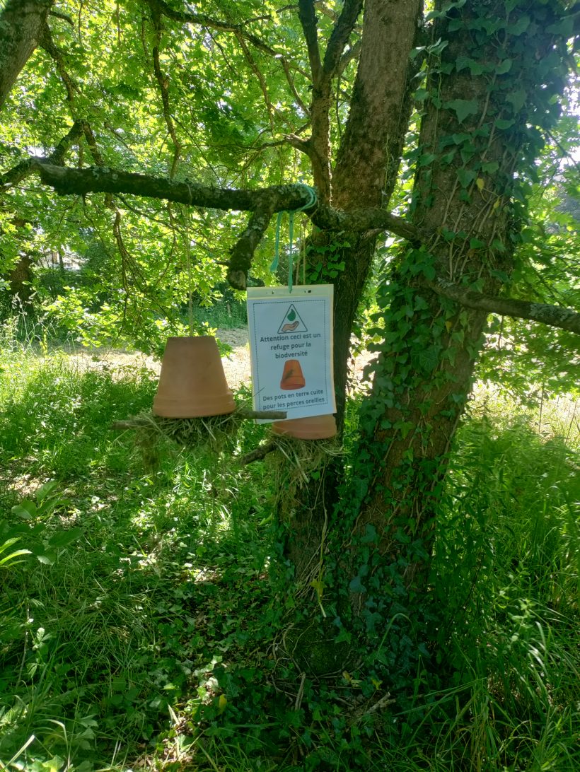 ATE école Théodore Botrel de Loyat