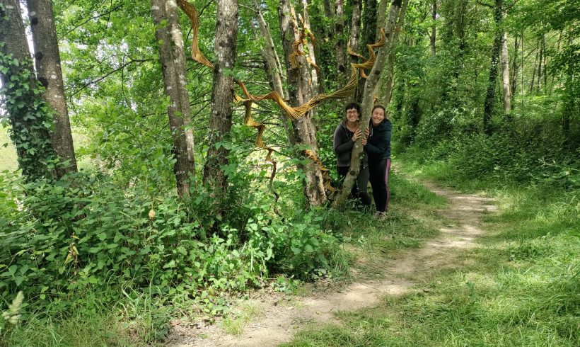 Installation Land Art