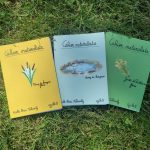 ABC Saint Pierre Quiberon